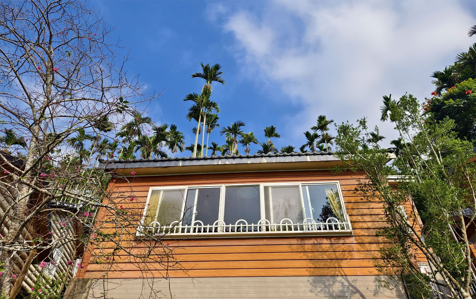 海宴休閒農莊 圖片