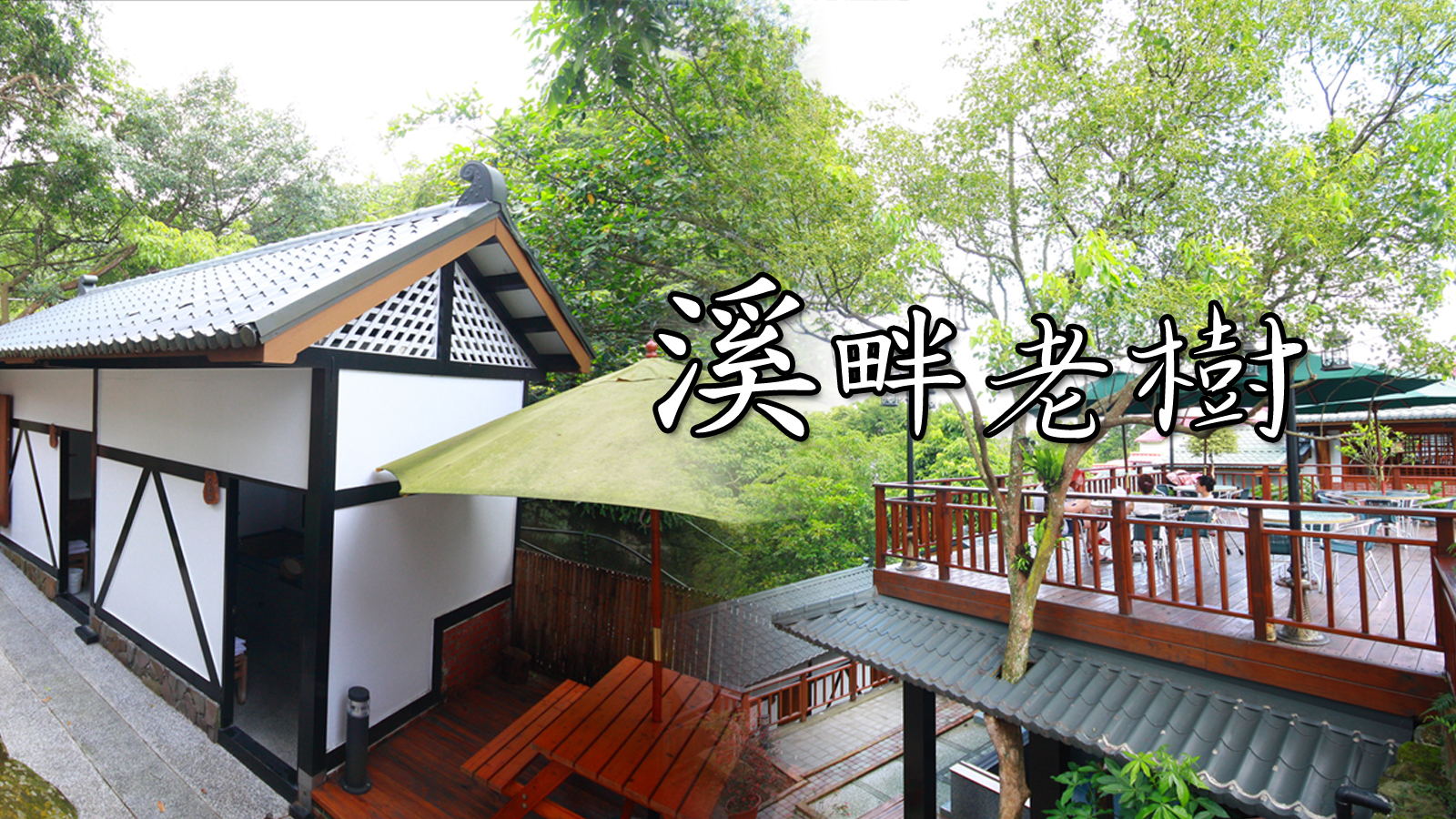 溪畔老樹溫泉山莊 封面